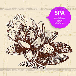 Spa background. Vintage sketch - royalty-free vector clipart