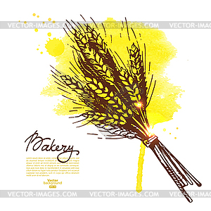 Watercolor wheat sketch background. Bakery vintage - vector clipart