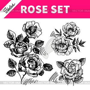 Sketch floral set. s of roses - vector image