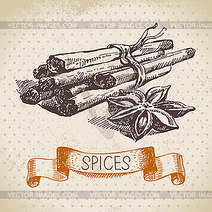 Kitchen herbs and spices. Vintage background with - vector image