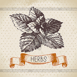 Kitchen herbs and spices. Vintage background with - vector image
