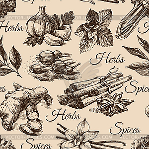 Seamless pattern of kitchen herbs and spices. sketch - royalty-free vector image