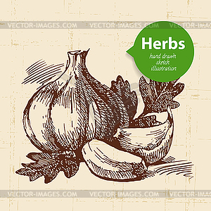 Kitchen herbs and spices. Vintage background with - vector image