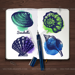 Set of sketch and watercolor seashells. Sketchbook - vector clip art