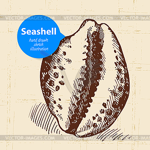 Seashell sketch. Vintage - vector clipart