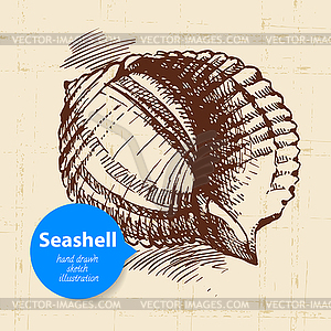 Seashell sketch. Vintage - royalty-free vector image