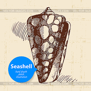 Seashell sketch. Vintage - vector clip art
