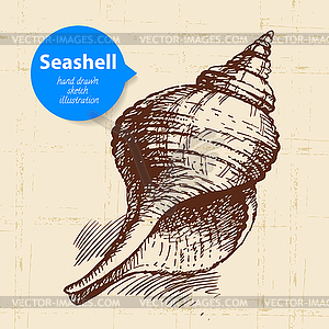 Seashell sketch. Vintage - vector image