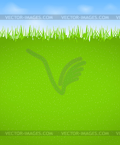Summer Background - vector image