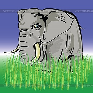 Elephant - royalty-free vector image