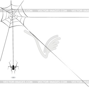 Spider - vector clipart