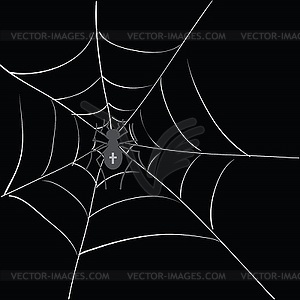 Spider in web - vector image