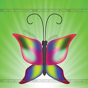 Butterfly - vector clipart