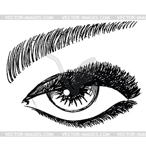 Female eye - vector image