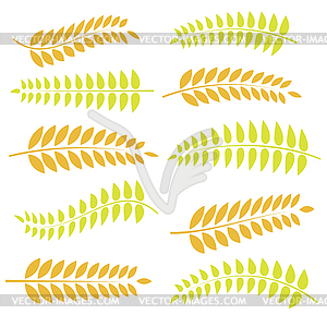 Autumn leaves - vector clipart