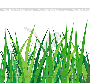 Зеленая трава - клипарт в векторе