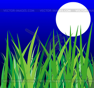 Green grass and moon on background night sky - vector clipart / vector image