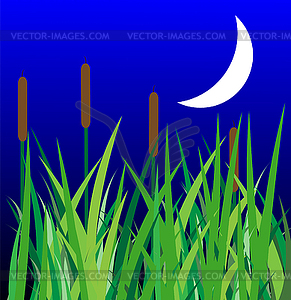Green grass with reeds and moon - vector clipart