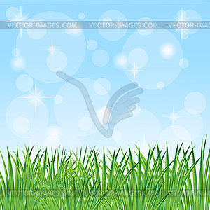 Green grass on blue background - vector clipart