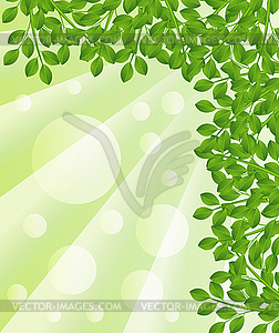 Background for design with green branches - vector image