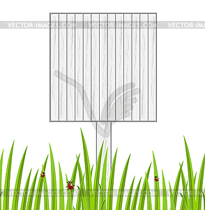 Background with green grass and ladybirds - color vector clipart