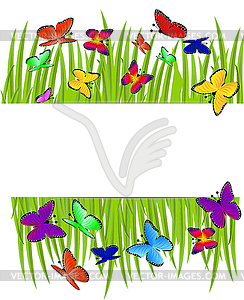 Background with green grass and butterflies - vector image