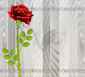 Red rose on wooden texture - vector image
