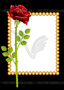 Red rose and greeting-card - vector image