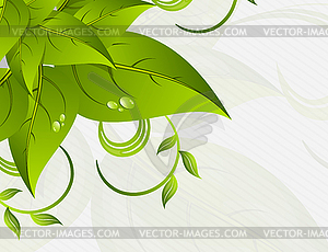Background with leaves - vector image