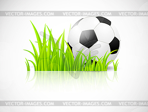 Background with soccer ball - vector image