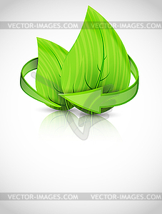 Green leaves - vector clipart / vector image