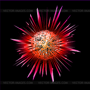 Bursting star - vector clipart