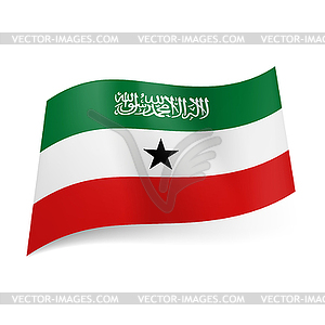 Flag of Somaliland - vector image