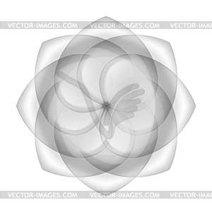 Abstract transparent flower - white & black vector clipart