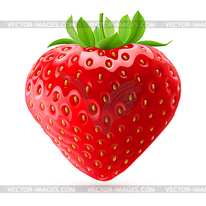Appetizing strawberry - vector image
