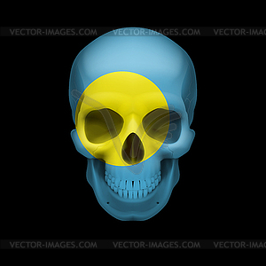 Palauan flag skull - vector clipart / vector image