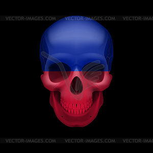 Гаитянский черепа флага - векторное изображение