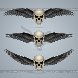 Three evil skulls with wings - vector clipart / vector image