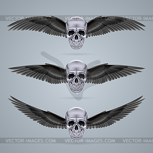 Три металла хром черепа с двумя крыльями - цветной векторный клипарт