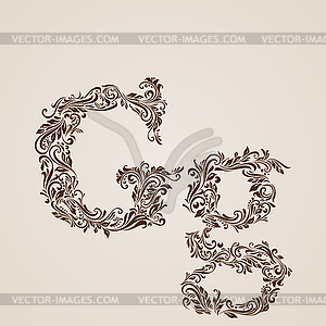 Decorated letter g - vector clip art