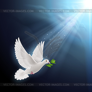 Fly dove - vector clip art