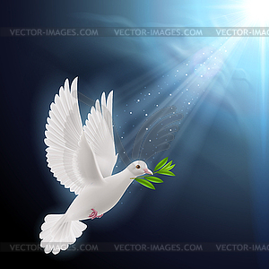 Fly dove in sunlight - vector image