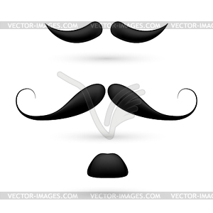 Set of three moustache - vector image