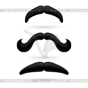 Set of three moustache - vector image