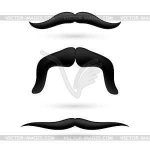 Set of three moustache - vector clipart / vector image