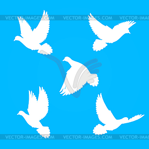 Set doves - vector clipart