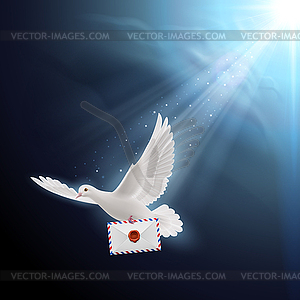 Dove white - vector clip art