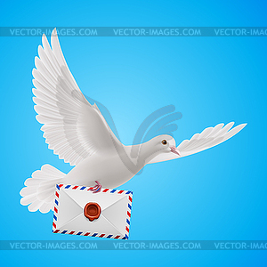 Dove white - vector image