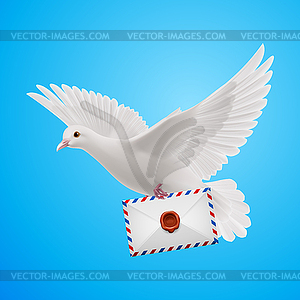 Dove white - vector image