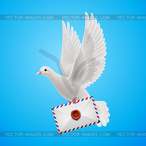 Dove white - vector clip art